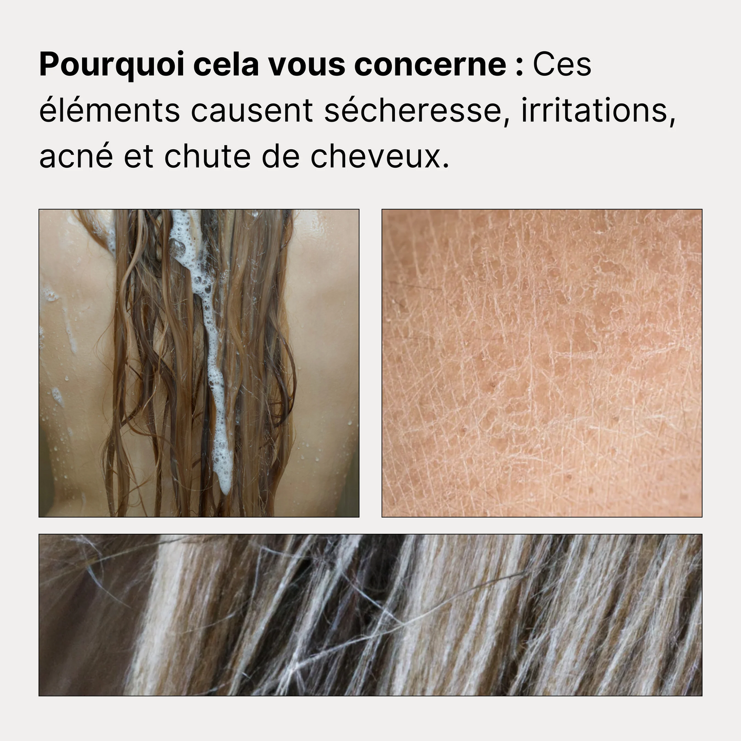 Pommeau de Douche Filtrant